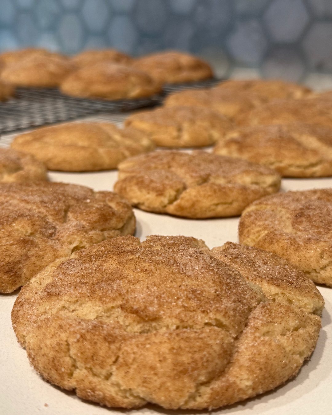 Freshly baked Three Sisters Vegan Snickerdoodles with crackly cinnamon-sugar tops, lined up on the kitchen counter
